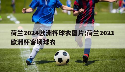 荷兰2024欧洲杯球衣图片;荷兰2021欧洲杯客场球衣