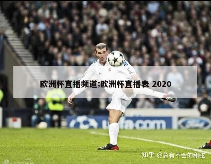 欧洲杯直播频道;欧洲杯直播表 2020