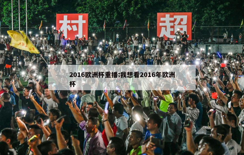 2016欧洲杯重播;我想看2016年欧洲杯