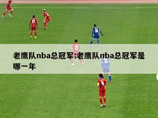 老鹰队nba总冠军;老鹰队nba总冠军是哪一年