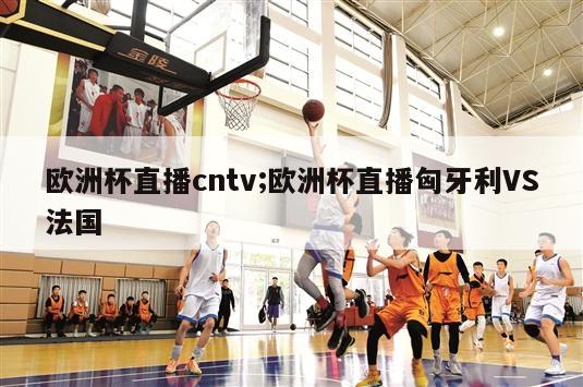 欧洲杯直播cntv;欧洲杯直播匈牙利VS法国