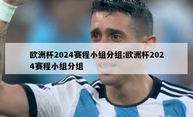 欧洲杯2024赛程小组分组;欧洲杯2024赛程小组分组