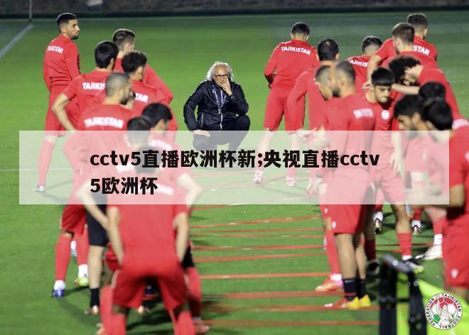 cctv5直播欧洲杯新;央视直播cctv5欧洲杯