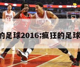 疯狂的足球2016;疯狂的足球2013