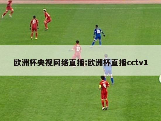 欧洲杯央视网络直播;欧洲杯直播cctv1