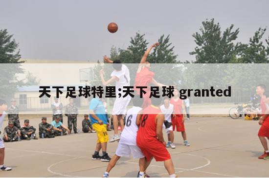 天下足球特里;天下足球 granted