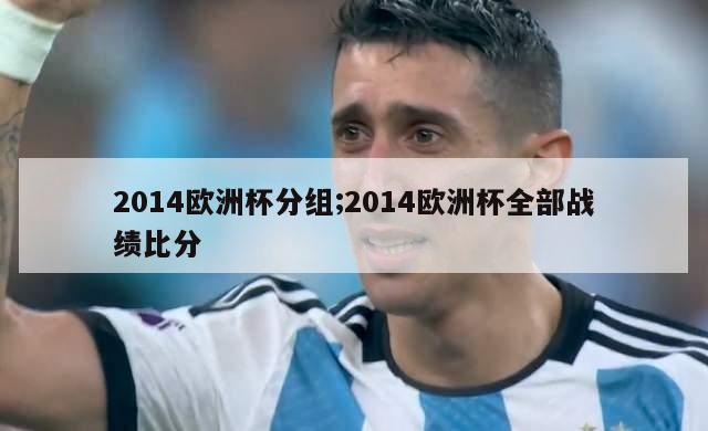 2014欧洲杯分组;2014欧洲杯全部战绩比分