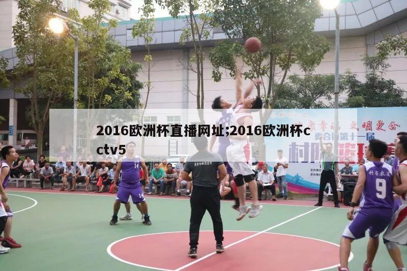 2016欧洲杯直播网址;2016欧洲杯cctv5