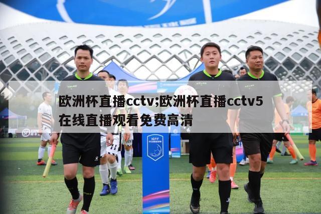 欧洲杯直播cctv;欧洲杯直播cctv5在线直播观看免费高清