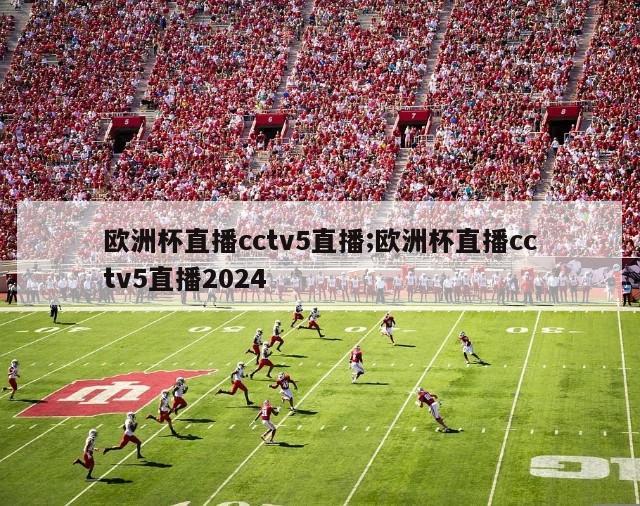 欧洲杯直播cctv5直播;欧洲杯直播cctv5直播2024