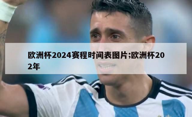 欧洲杯2024赛程时间表图片;欧洲杯202年