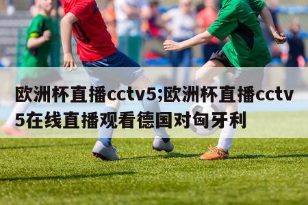 欧洲杯直播cctv5;欧洲杯直播cctv5在线直播观看德国对匈牙利