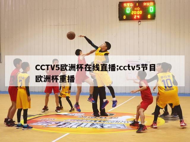 CCTV5欧洲杯在线直播;cctv5节目欧洲杯重播