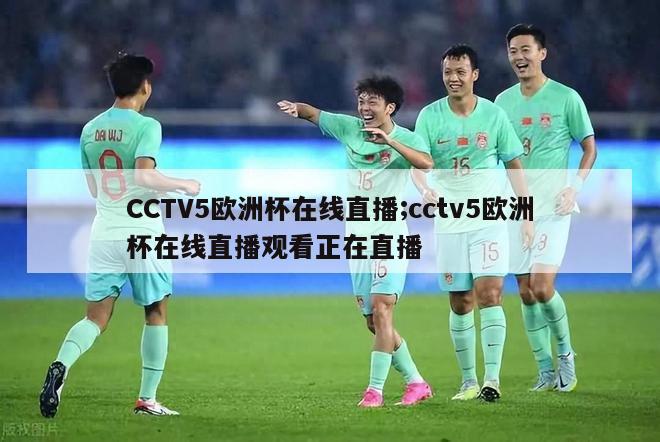 CCTV5欧洲杯在线直播;cctv5欧洲杯在线直播观看正在直播